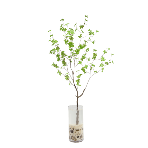 Enkianthus tak 150cm